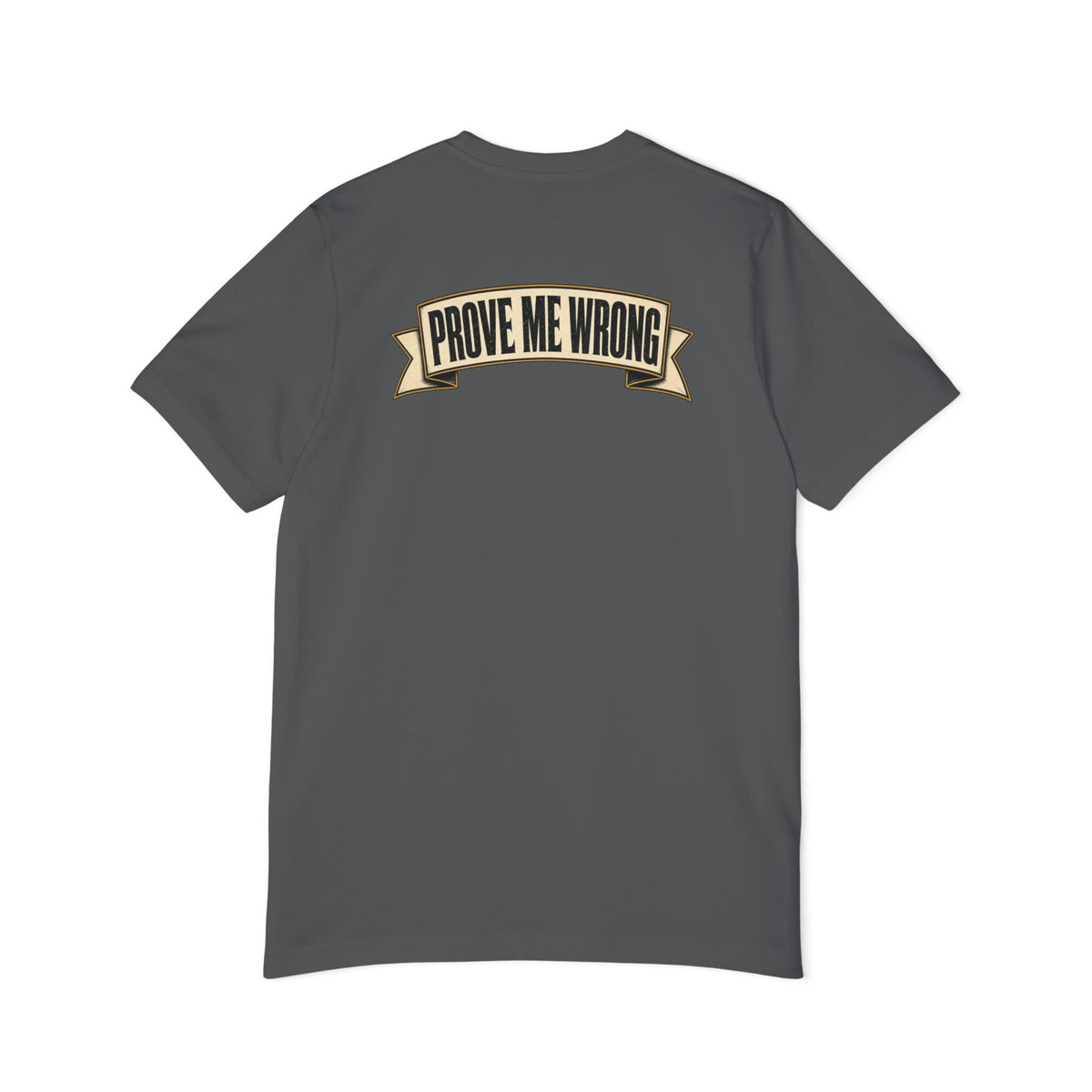 Charlie Kirk Prove Me Wrong Lightweight Tee in Asphalt – flat back
