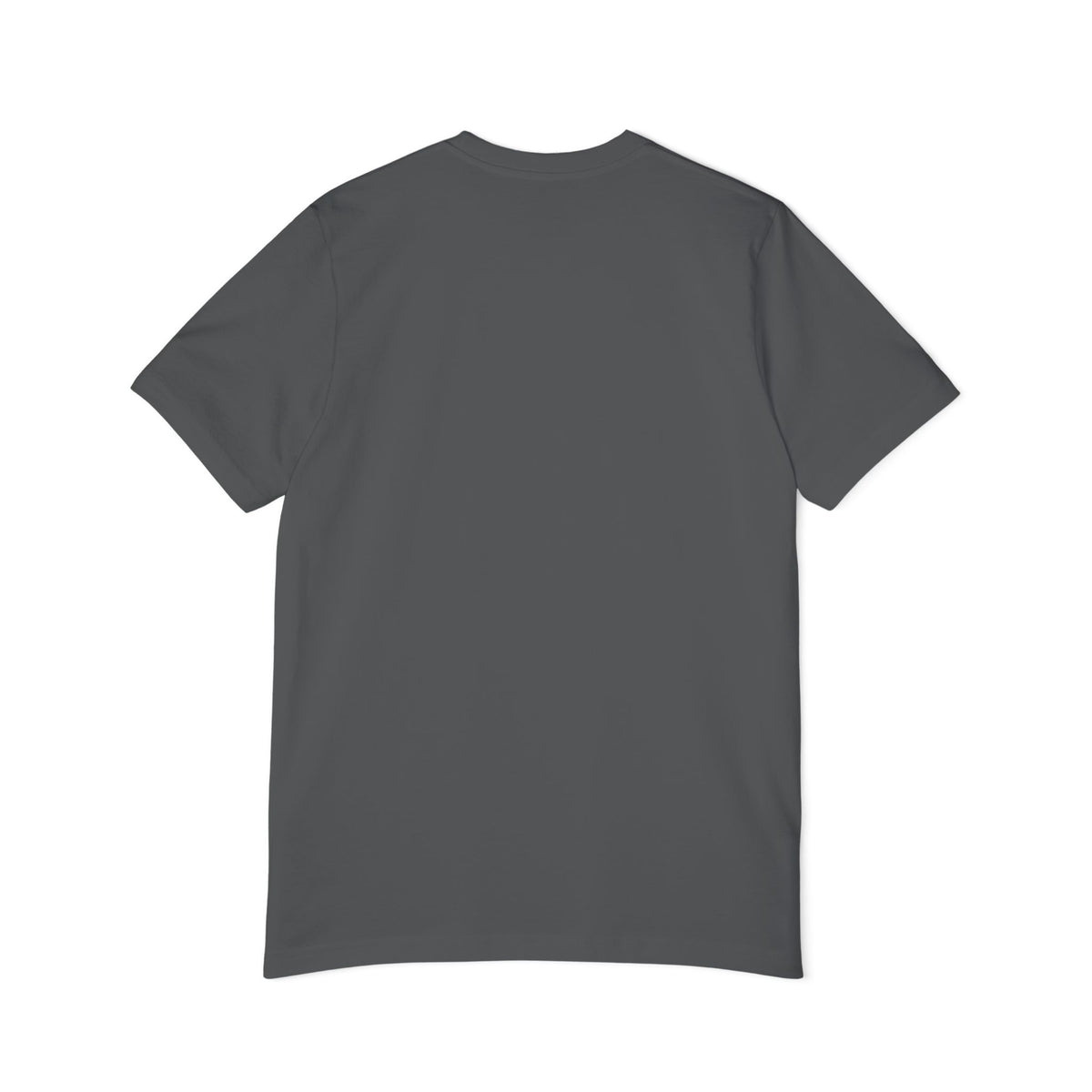 Light & Salvation Psalm 27:1 Lightweight Tee